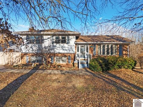 125 Whippoorwill DR Marion KY 42064