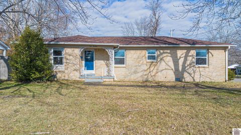 419 Central Avenue Mayfield KY 42066