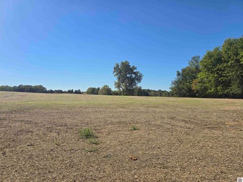 000 N State Route 295 Kuttawa KY 42055