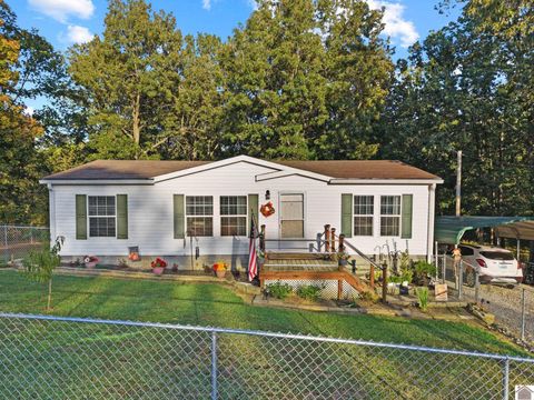 708 Tinker Lane Grand Rivers KY 42045