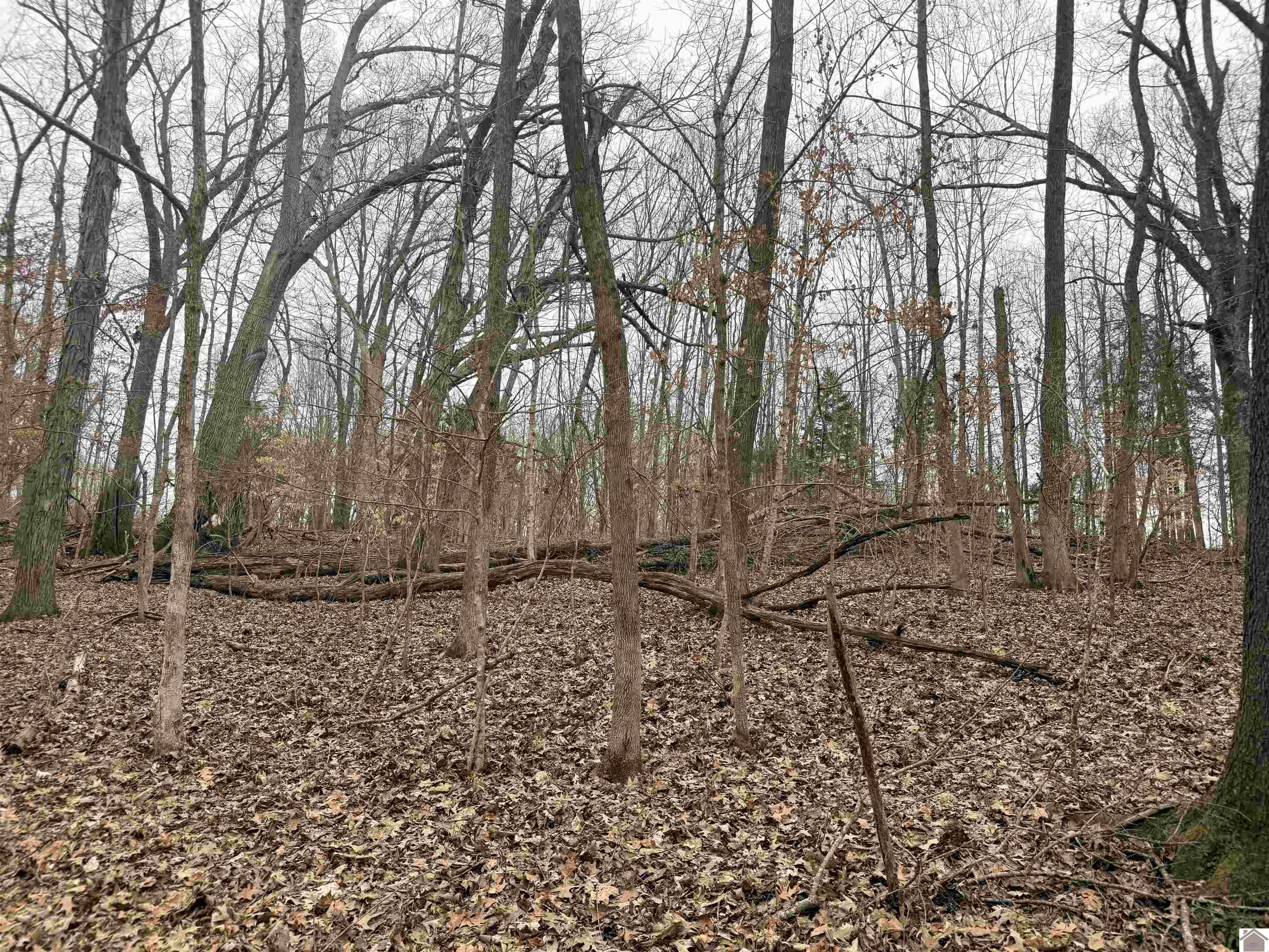 00 Morning Glory Drive