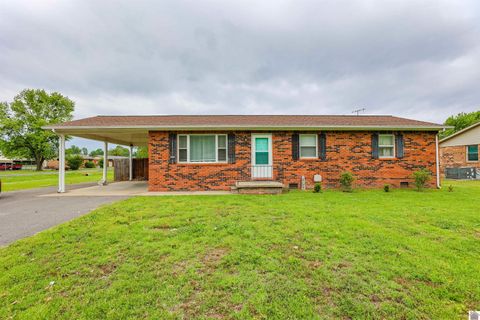 206 Faye Dr Ledbetter KY 42058