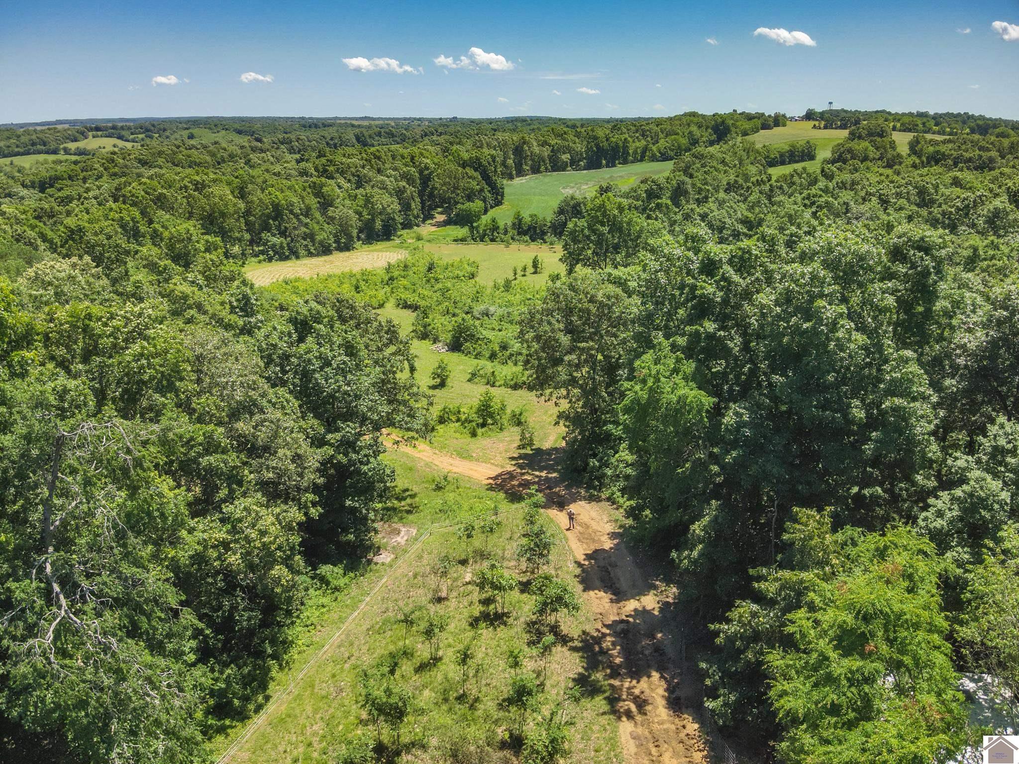 869 Cave Springs Rd