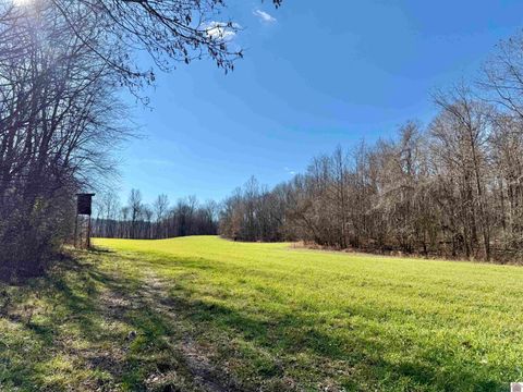 988 Chipps Rd Smithland KY 42081