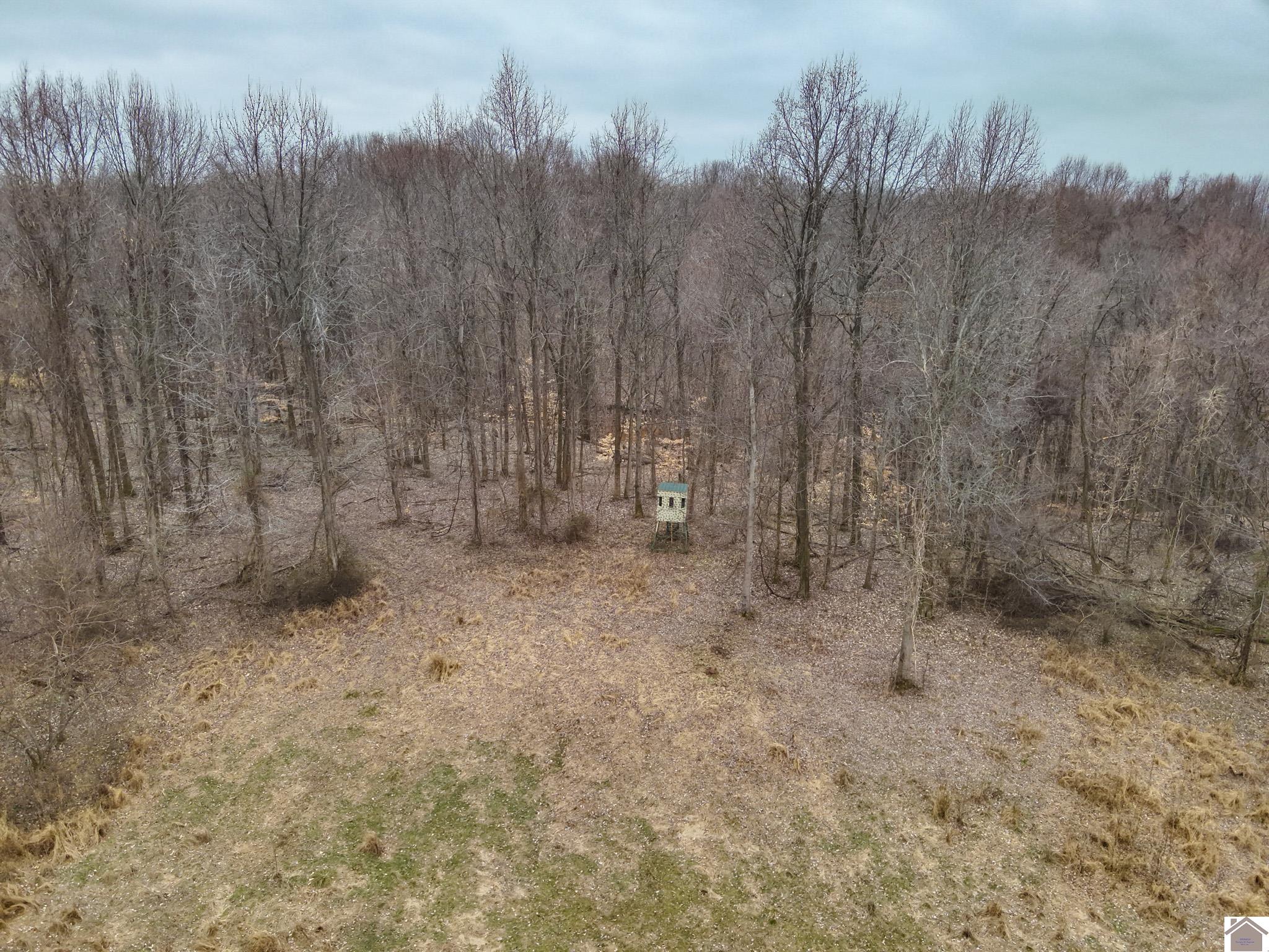 000 Sandy Branch Road