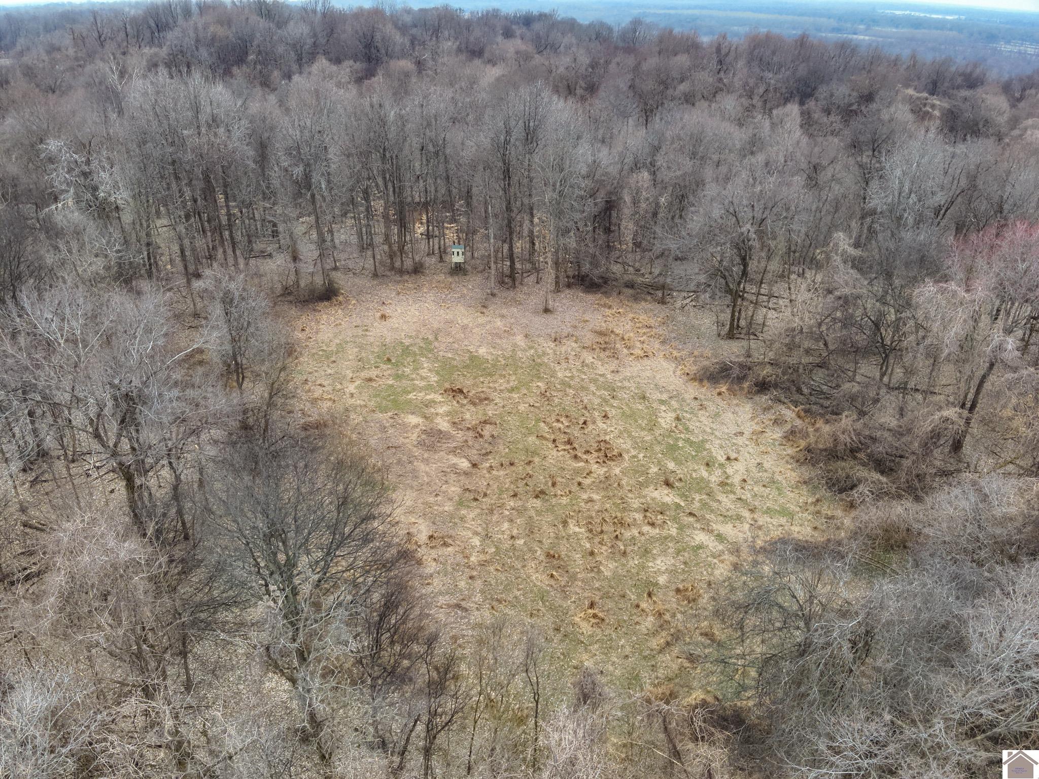 000 Sandy Branch Road