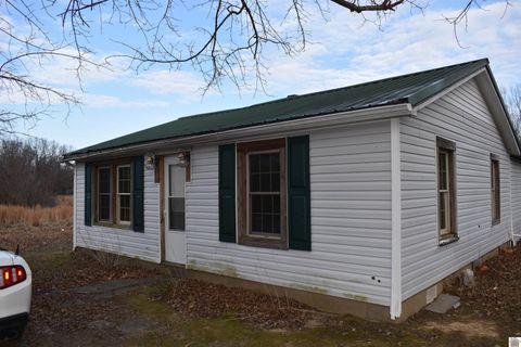 2424 Doores Trail Kirksey KY 42054