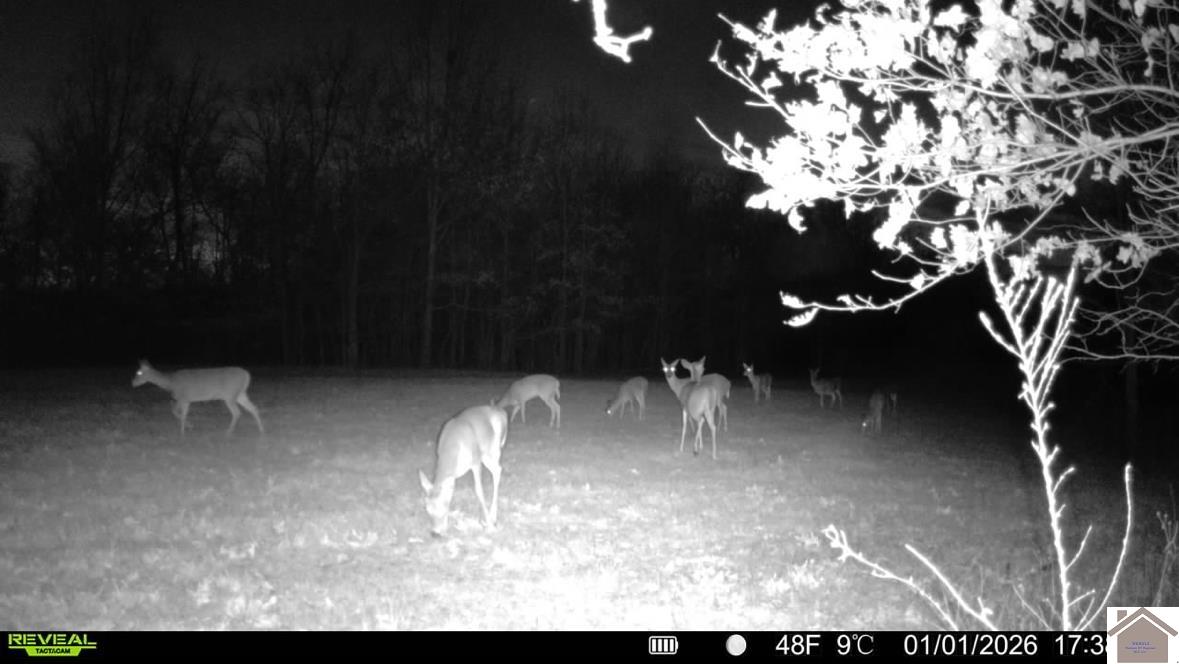 115 County Road 1039