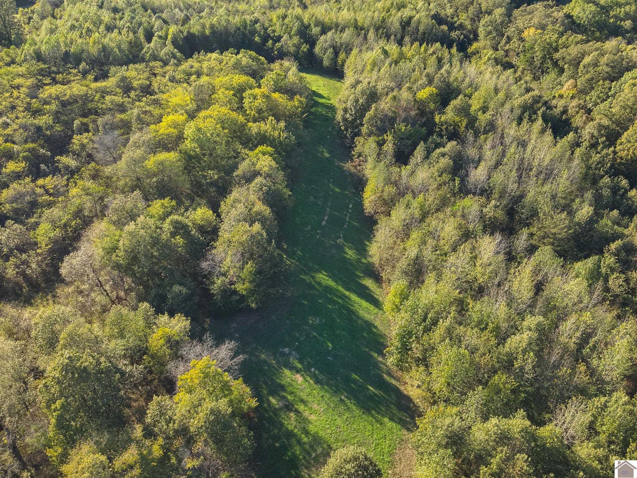 115 County Road 1039