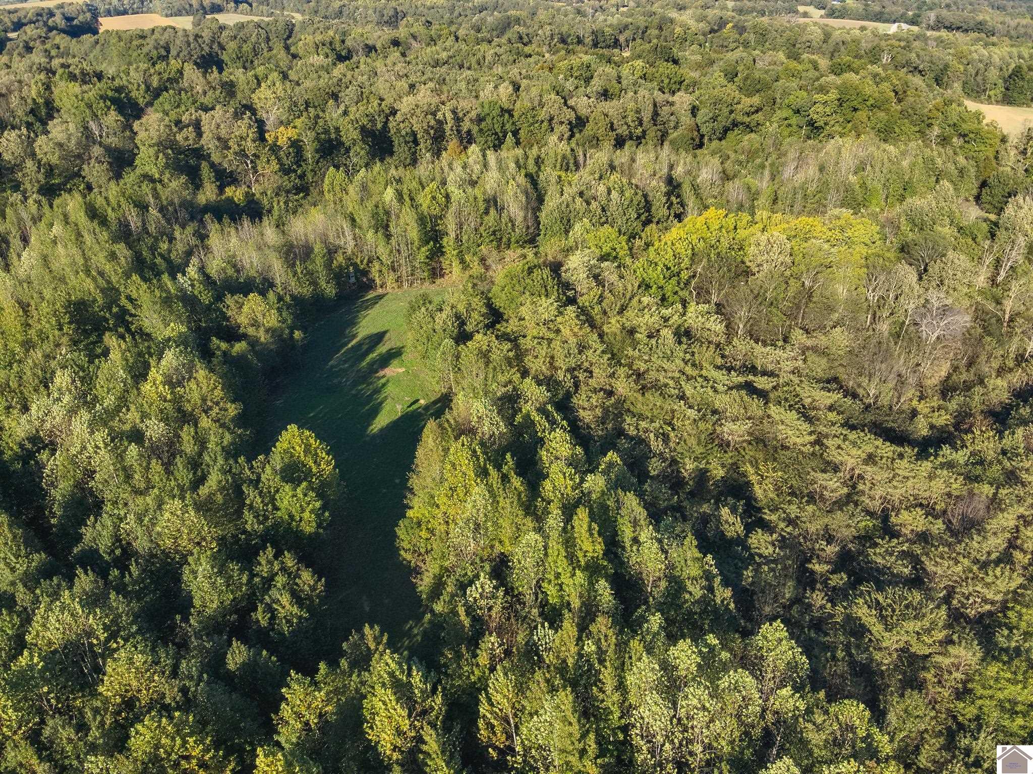 115 County Road 1039