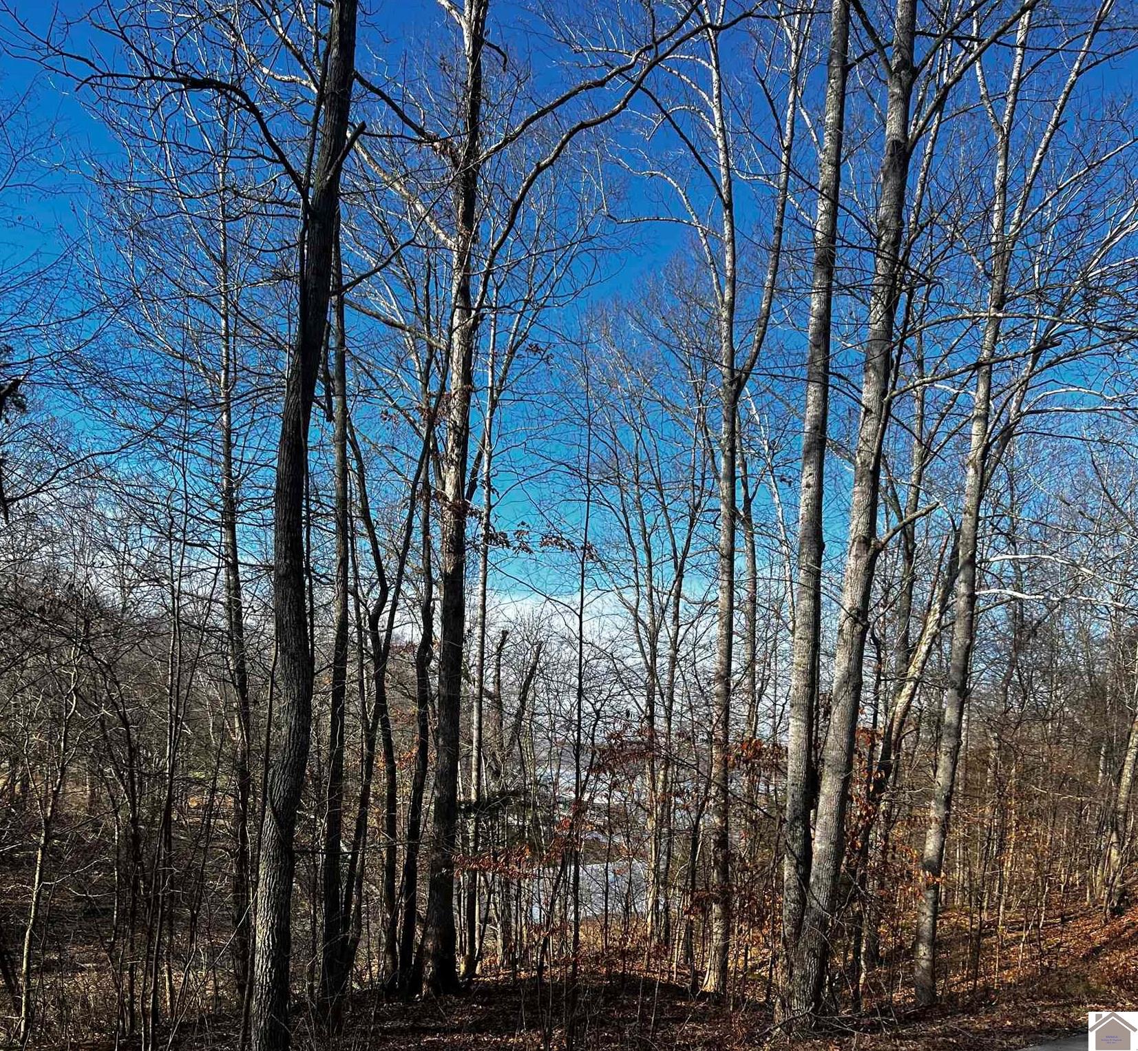 Photo 1 of 4 — Lot 36 Canton Heights 2 Circle, Cadiz, KY 42211