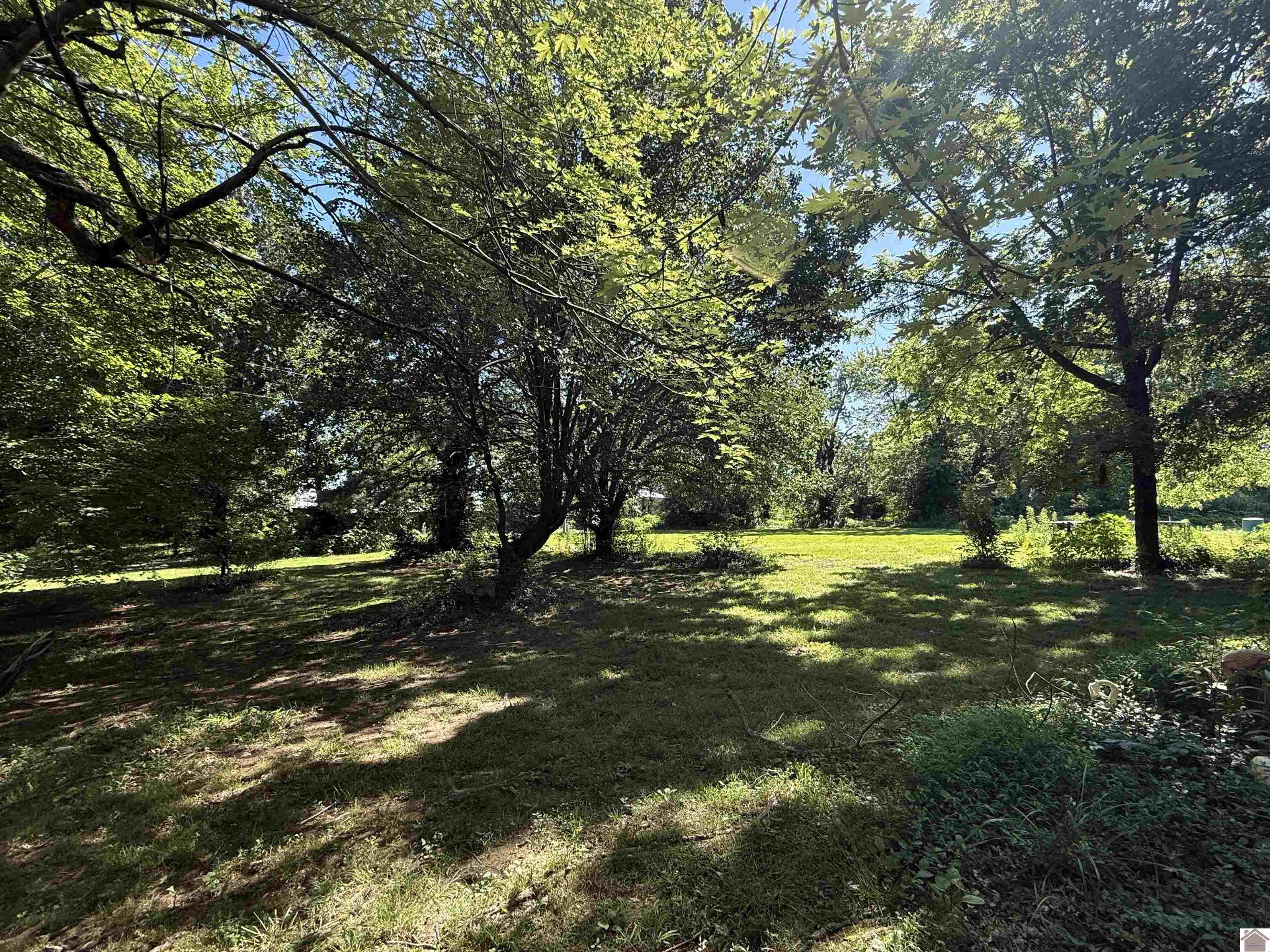 Photo 1 of 7 — 423 Williams Lane, Mayfield, KY 42066
