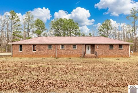 144 Hesley Dr. New Concord KY 42076