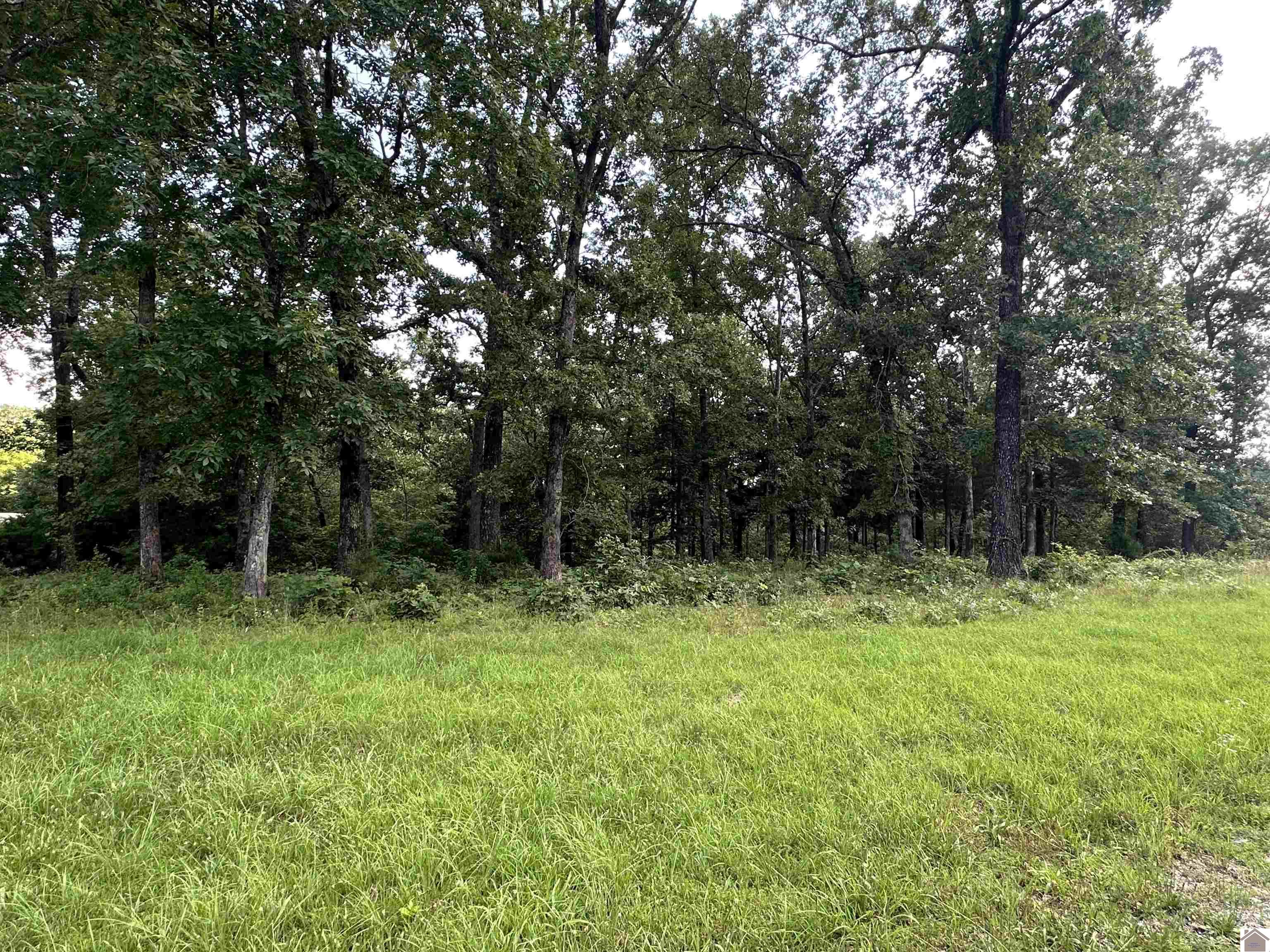 176 Siloam Lane