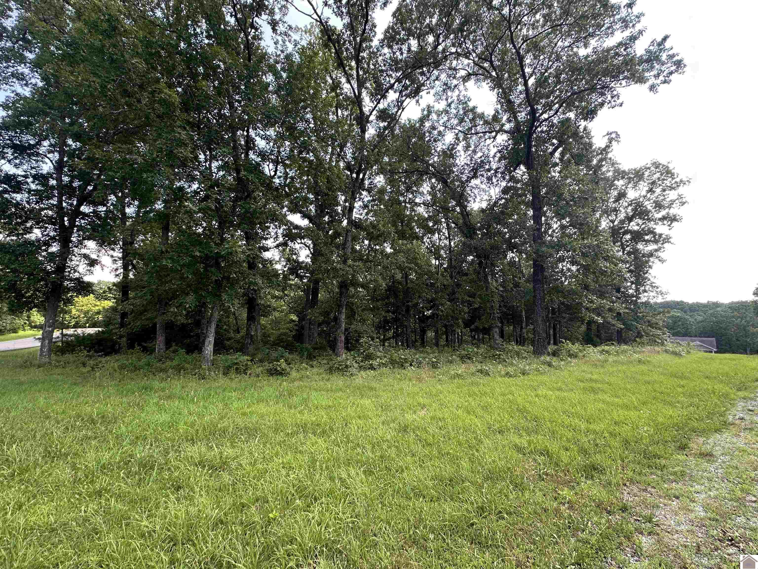 176 Siloam Lane