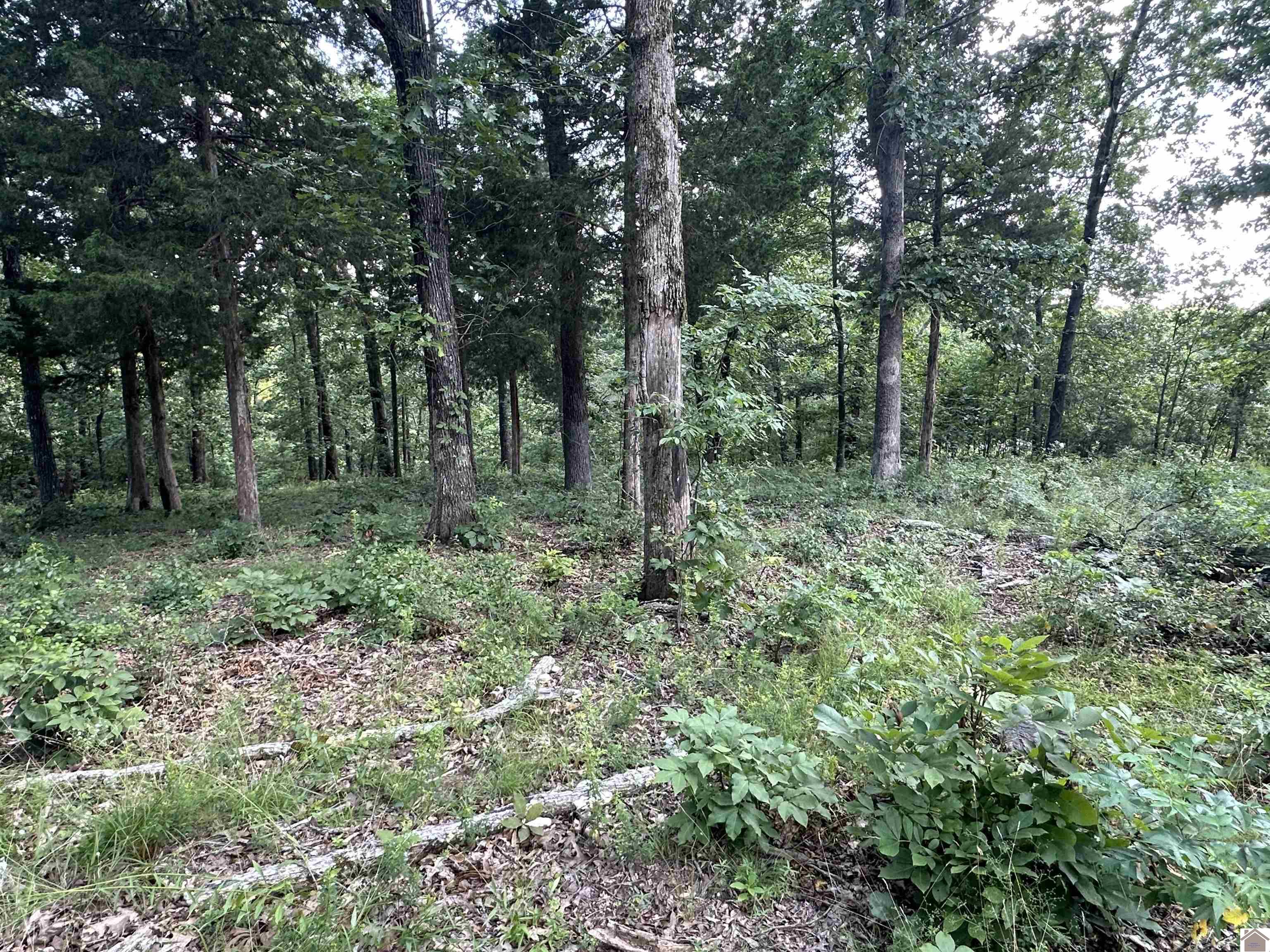 176 Siloam Lane