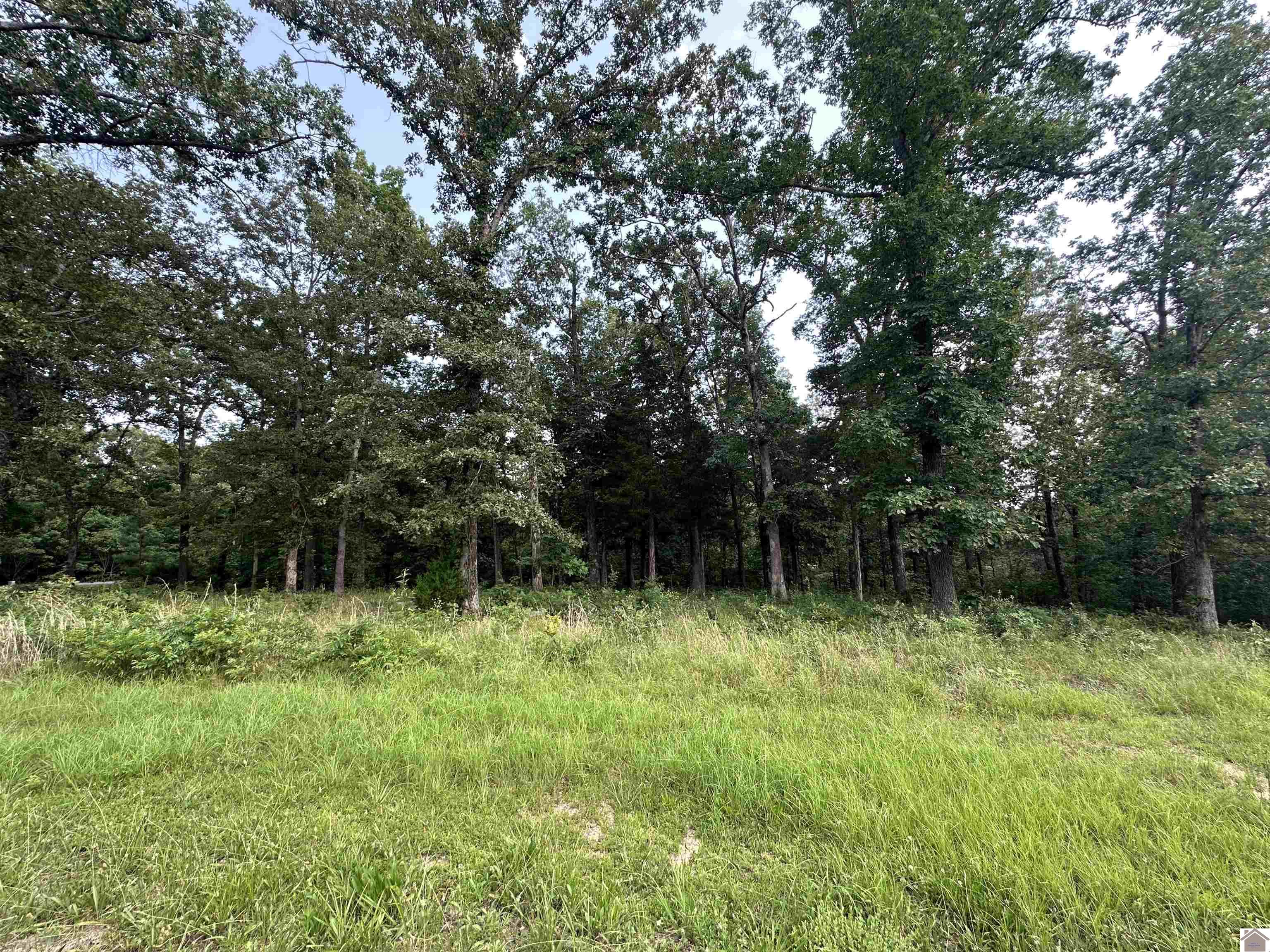 176 Siloam Lane
