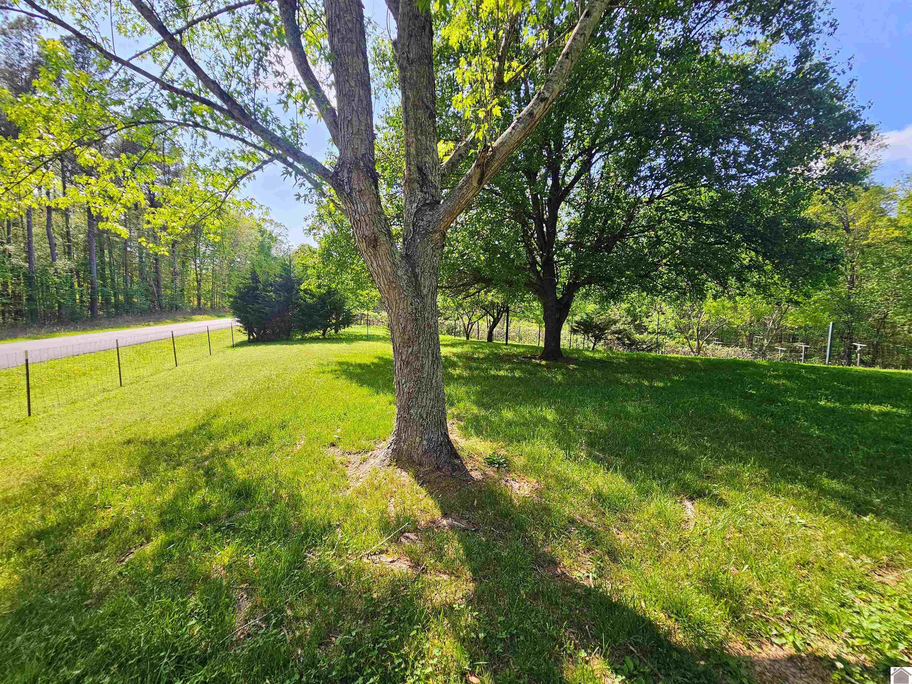 4254 shoemaker rd
