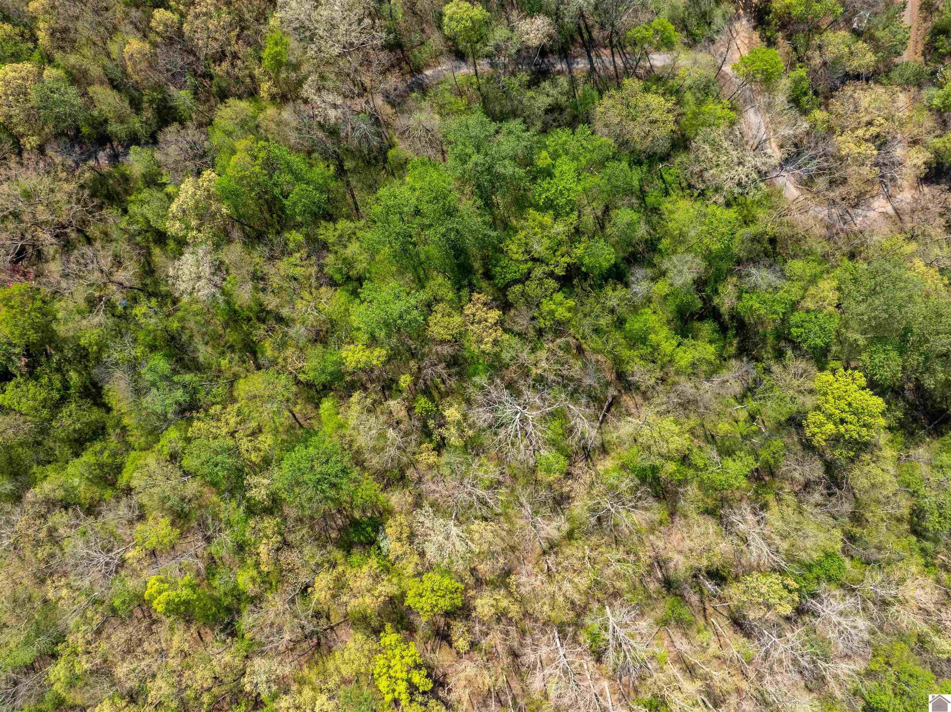 00 Shannon Creek Road
