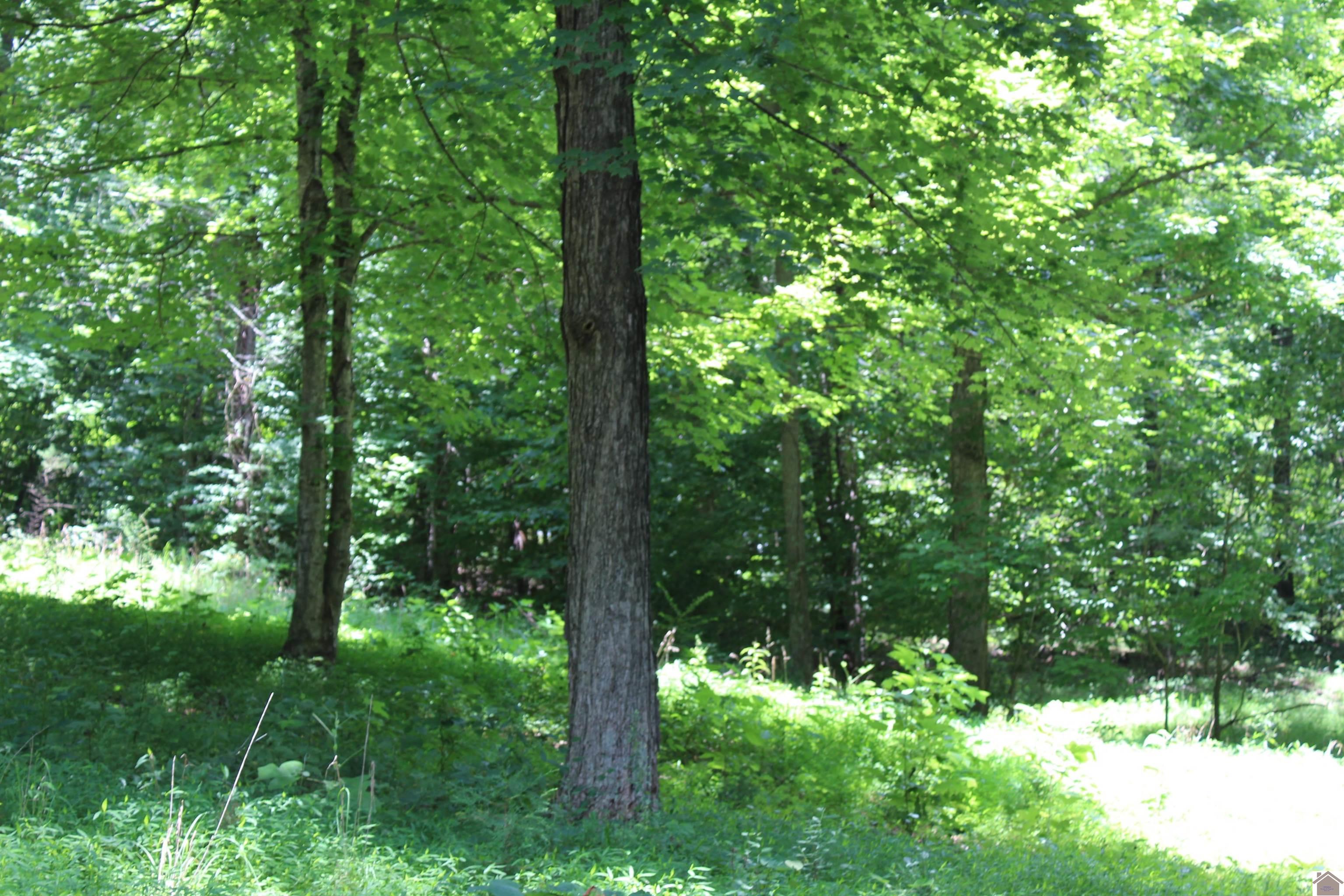 000 Perry Springs Road