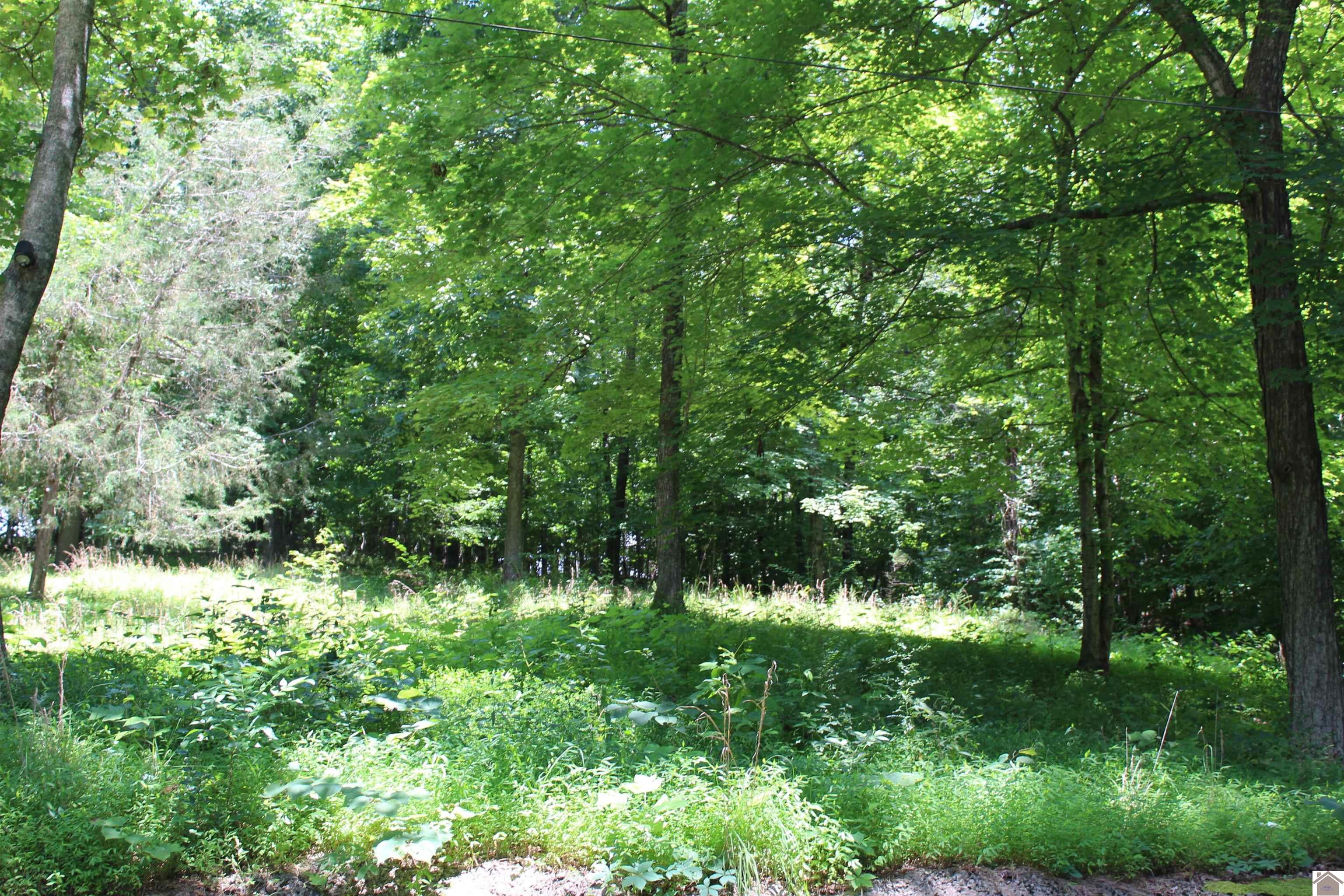 000 Perry Springs Road