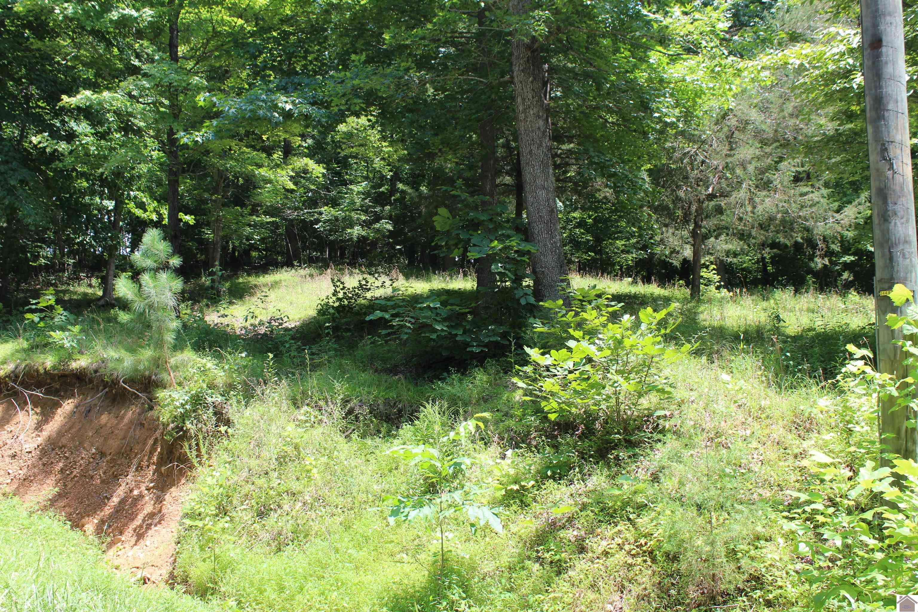 000 Perry Springs Road