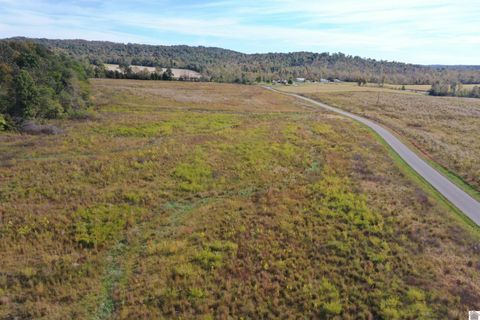 0 Princeton-Olney Road Princeton KY 42445