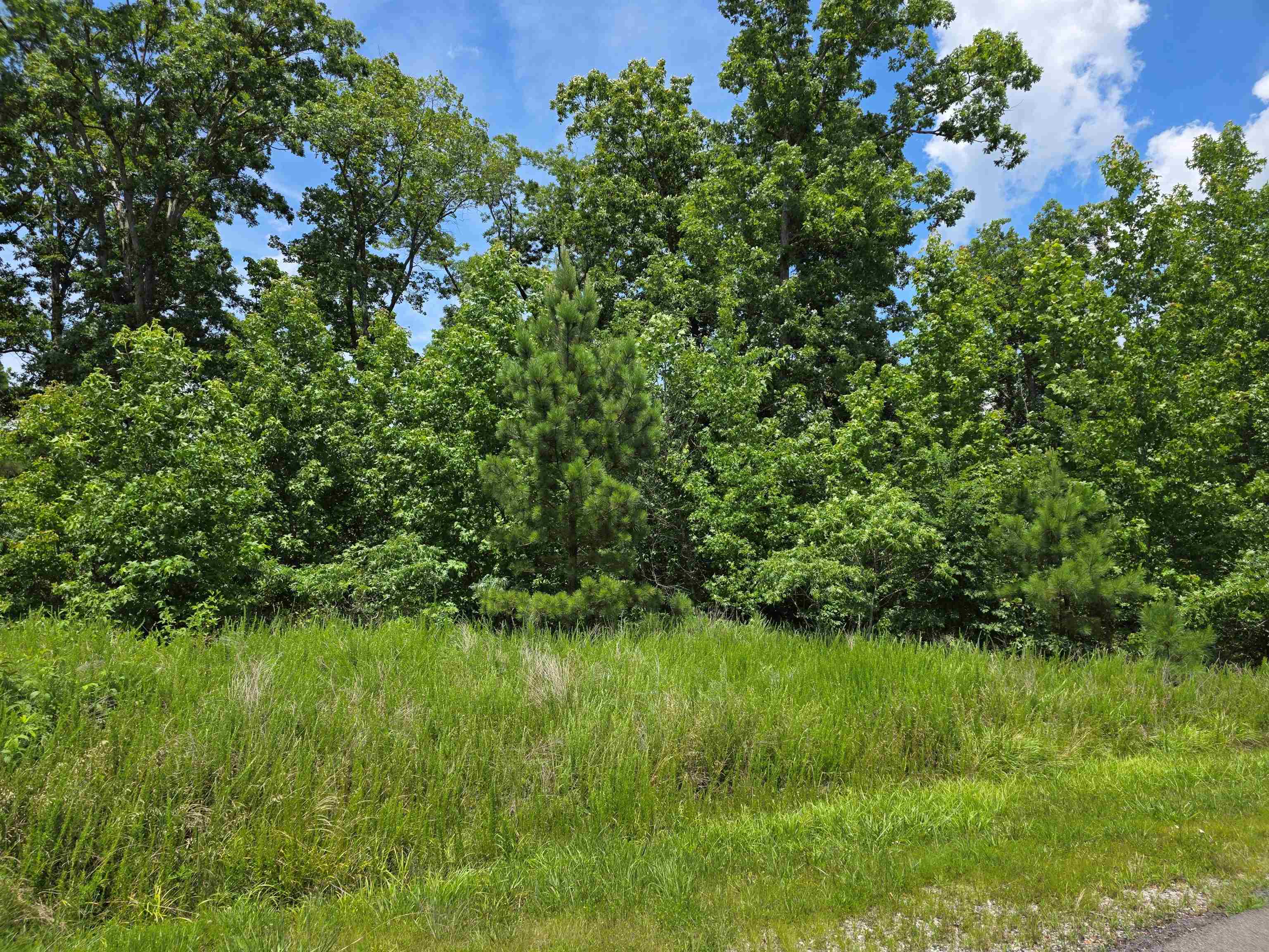 Anchor Road- Lot #63 & 64
