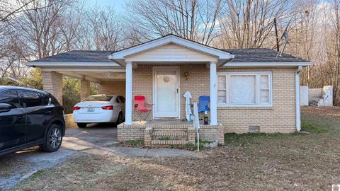 211 Lane St Dexter KY 42036