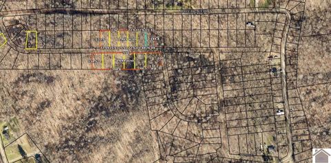 3 Acres Linton Shores S/D Cadiz KY 42211