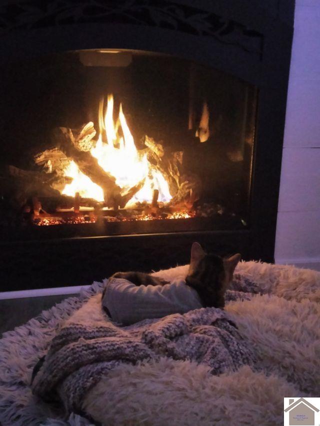 3019 Mississippi Street