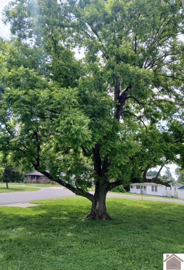 3019 Mississippi Street