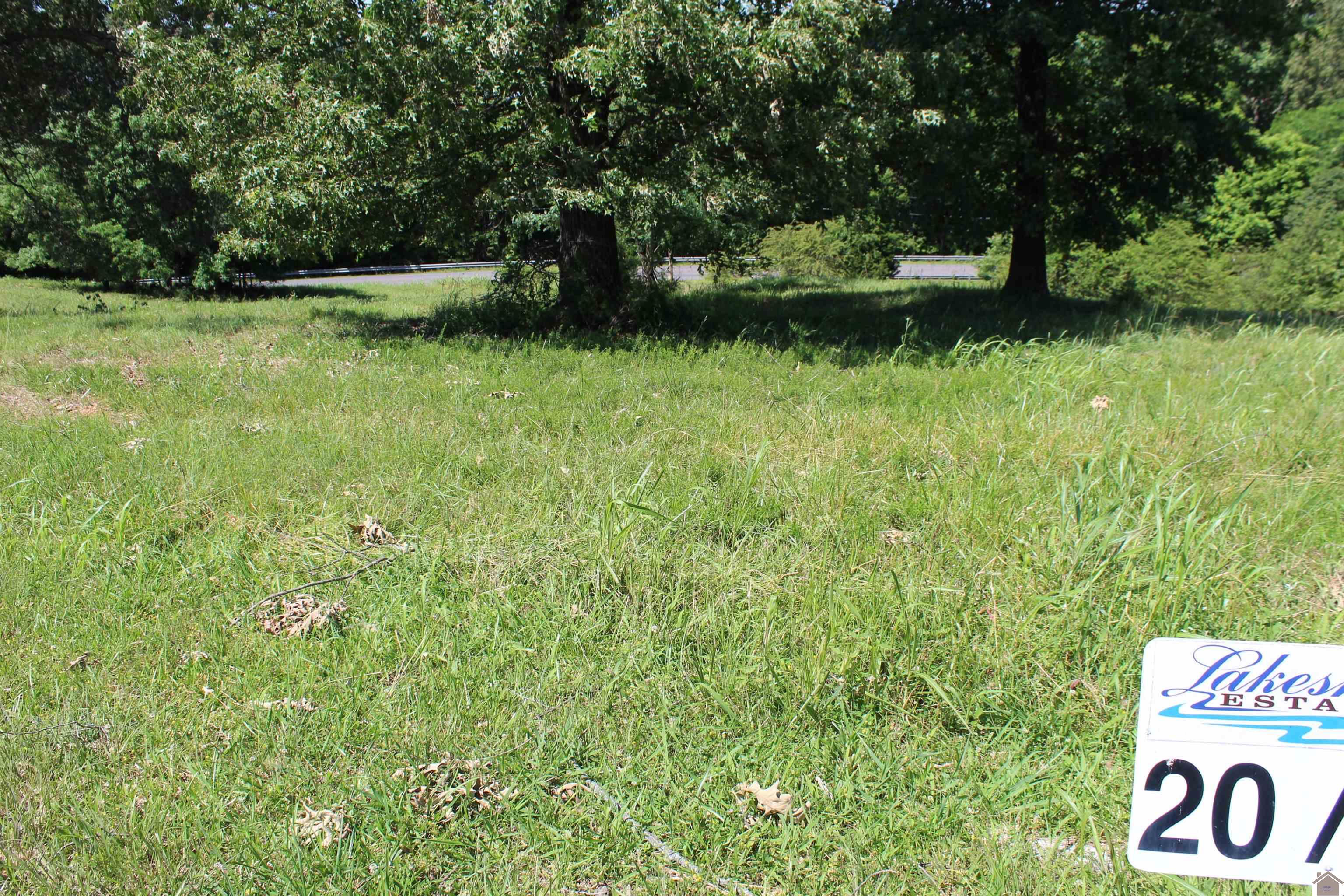 Photo 1 of 3 — Lot 20 Oak View Lane, Eddyville, KY 42038