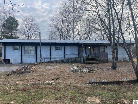 42 Sills Ln. Benton KY 42025