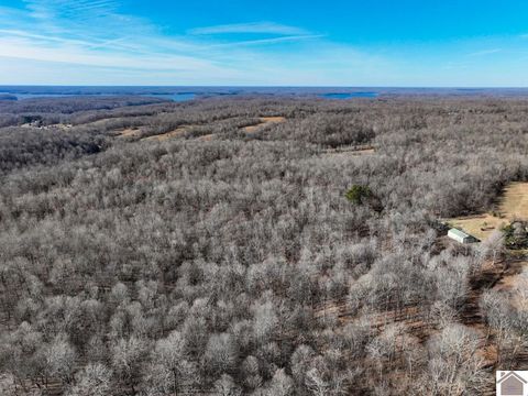 9880 State Route 93 South Eddyville KY 42038