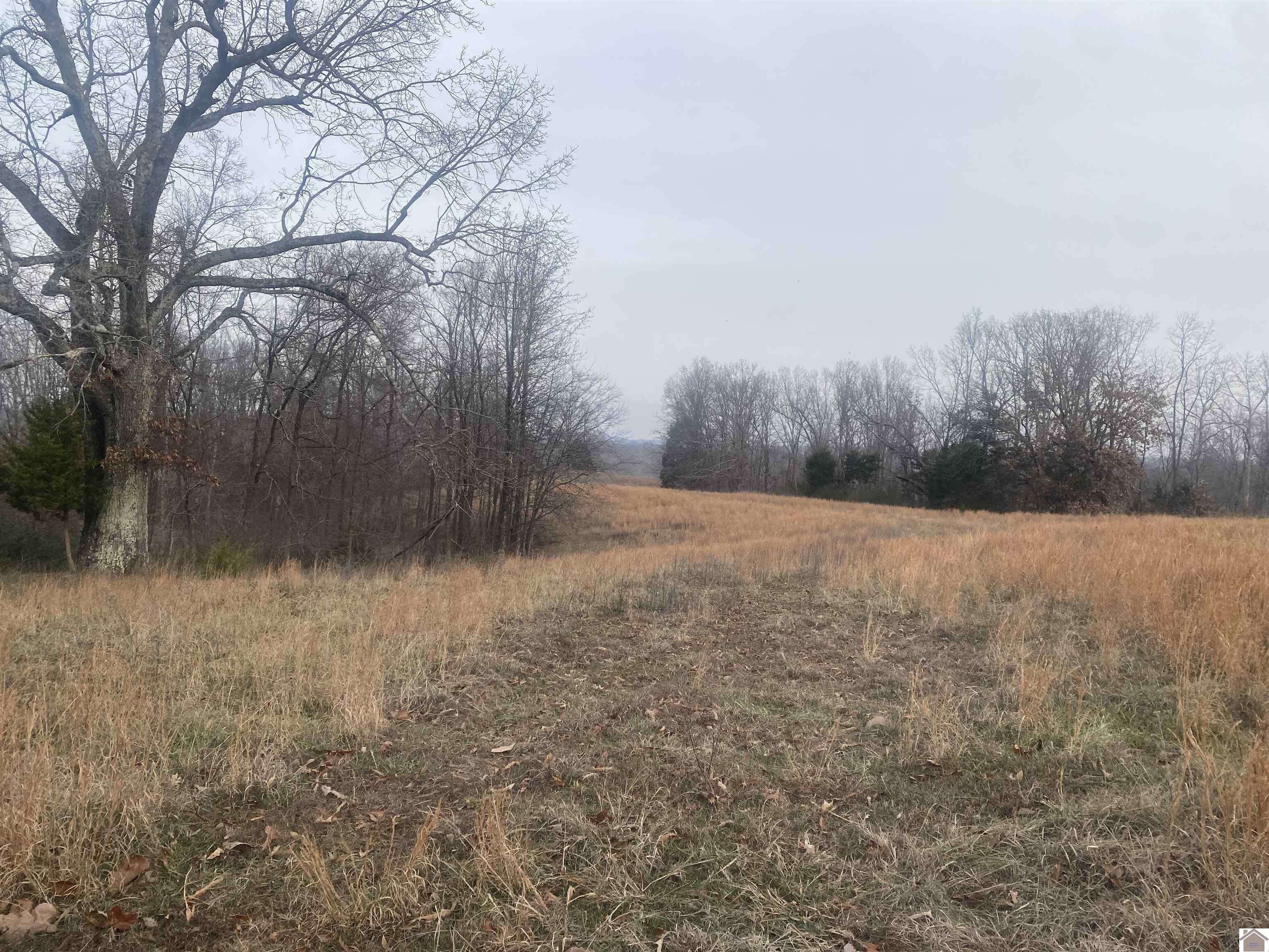 0700 Crossroads School Rd