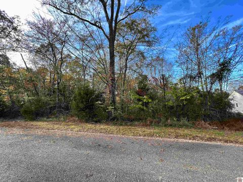 00 Weekend Ln, Lot 46 Murray KY 42071