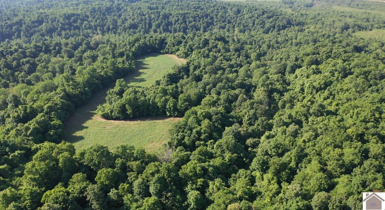 000 Sandy Branch Road