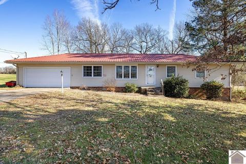 300 State Route 940 Mayfield KY 42066