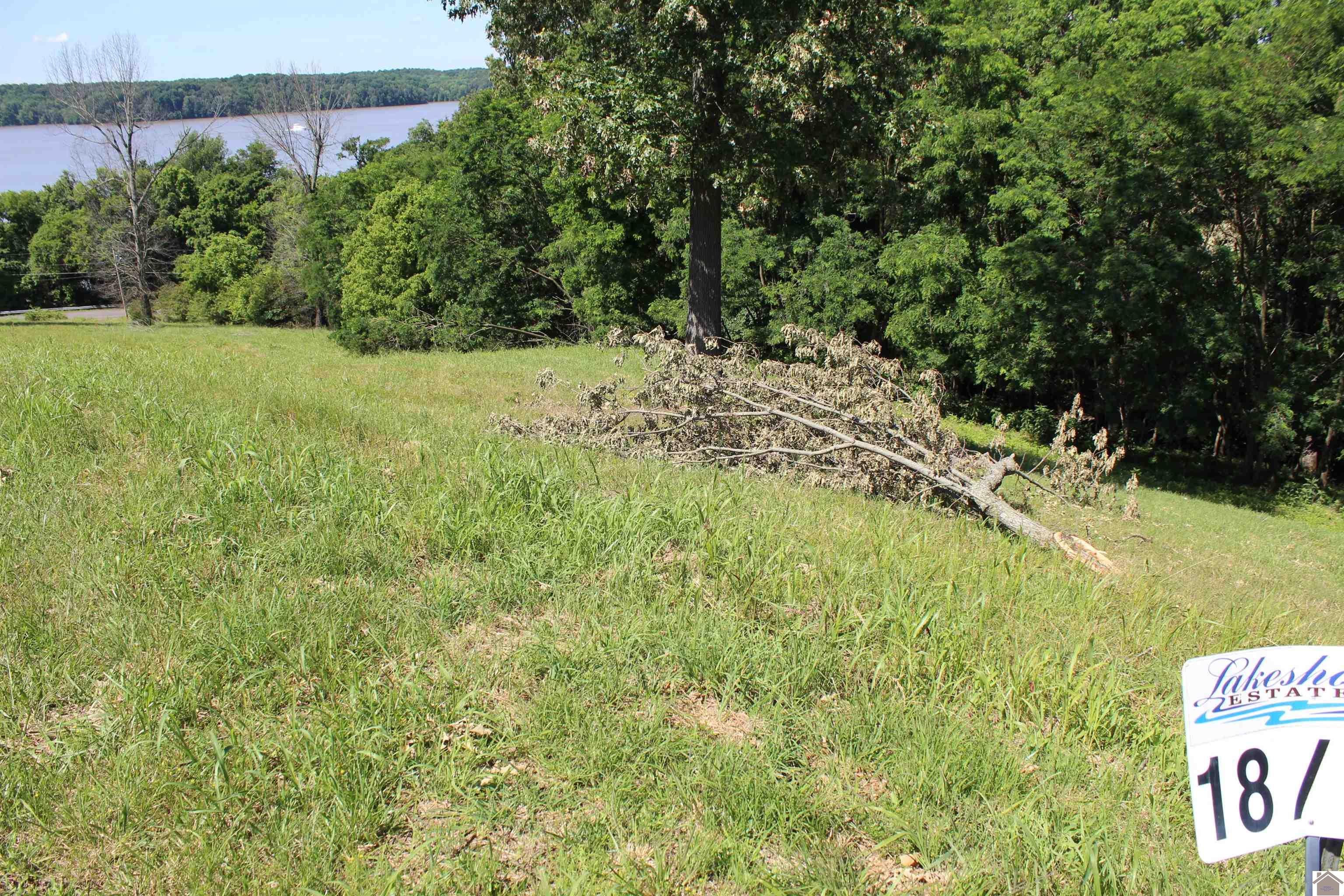 Photo 1 of 3 — Lots 18 Oak View Lane, Eddyville, KY 42038