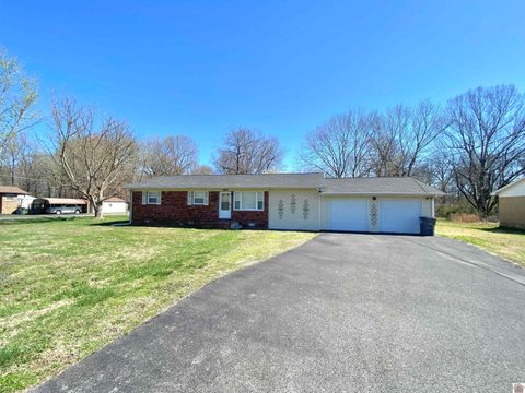 237 Anita Lane Ledbetter KY 42058