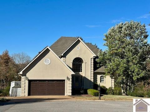 74 Astoria Court Murray KY 42071