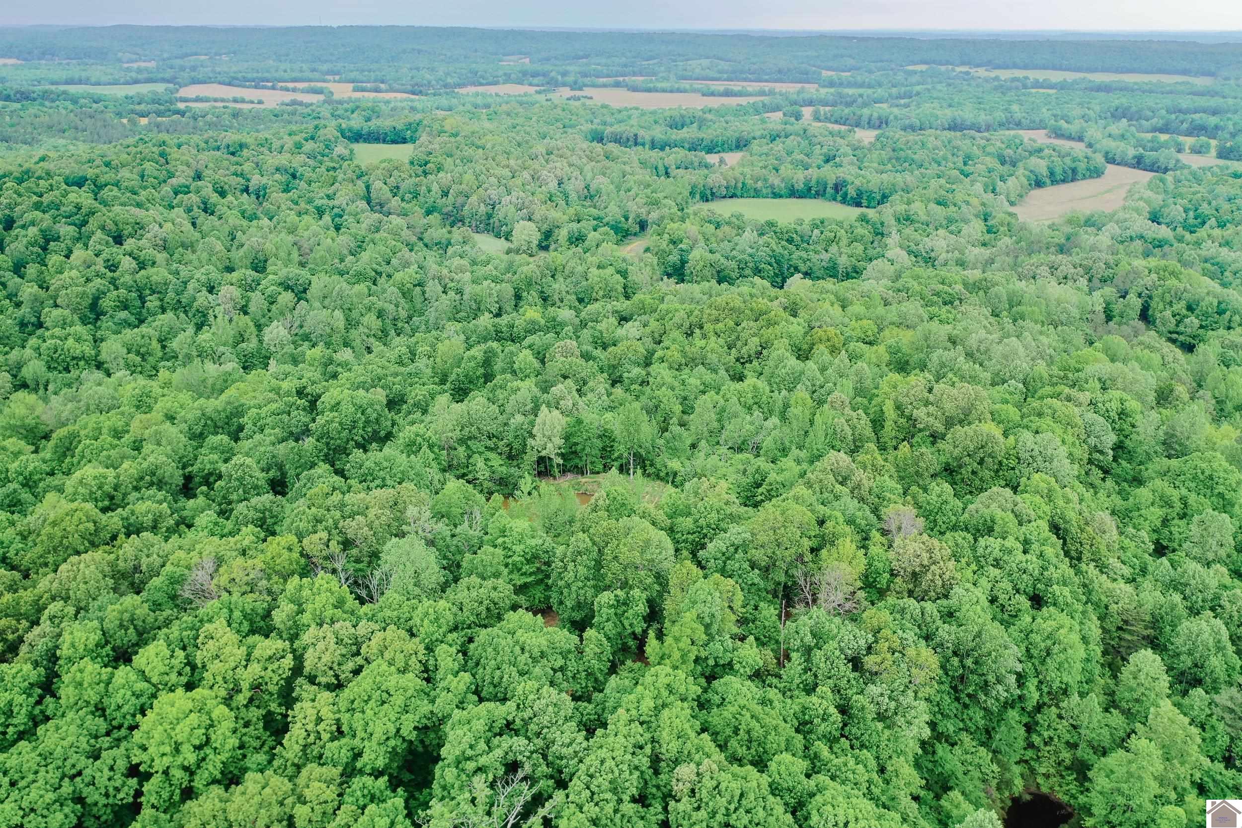 406 Lakewood Rd-Tract 2