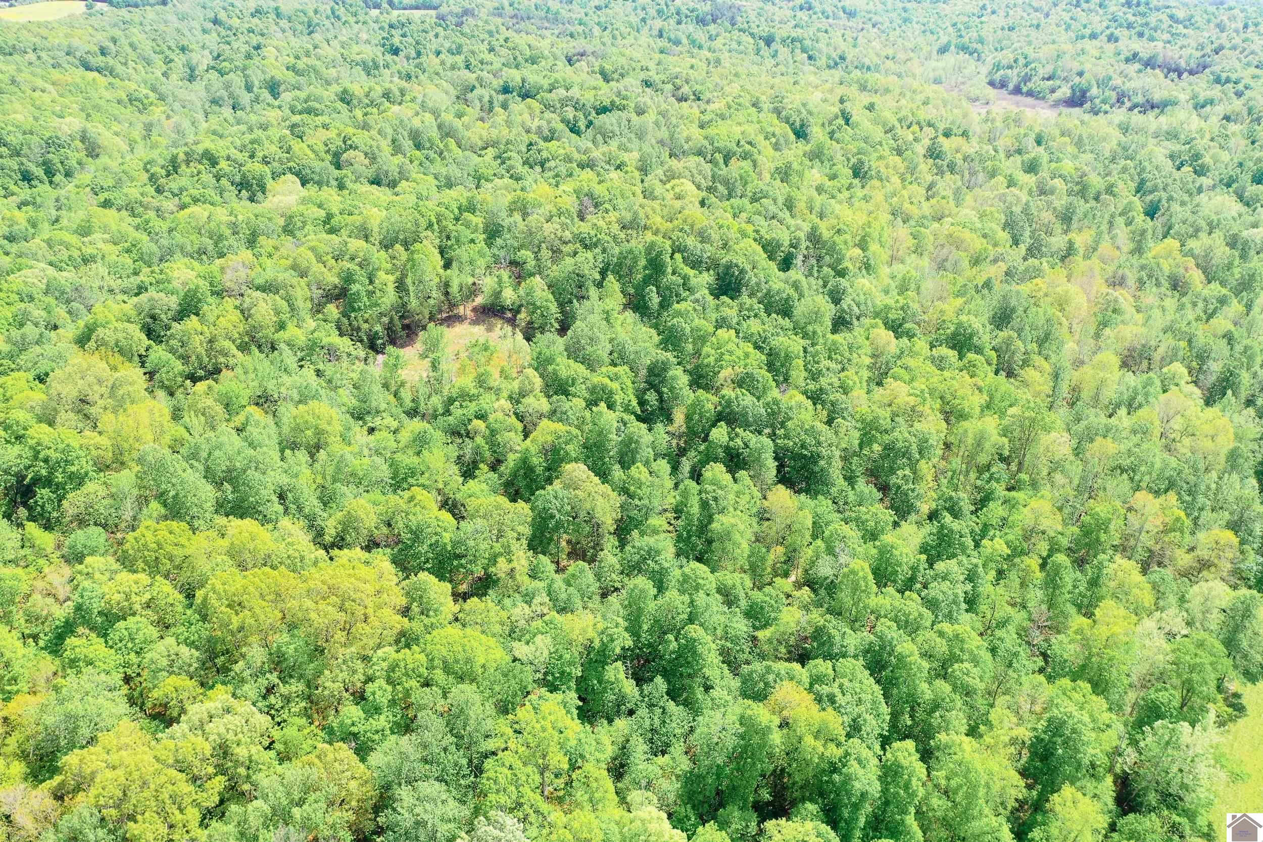 406 Lakewood Rd-Tract 3