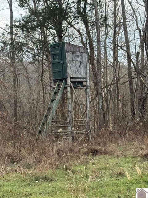 2053 PRINCETON OLNEY RD Princeton KY 42445