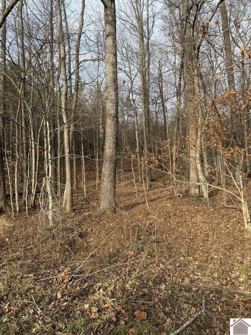 2053 PRINCETON OLNEY RD