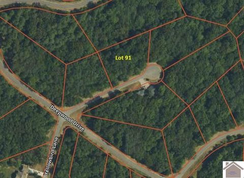 Lot 91 Streetland Murray KY 42071
