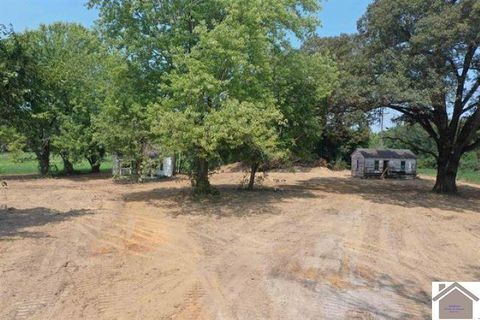 8605 Kentucky Highway 3520 West Paducah KY 42086