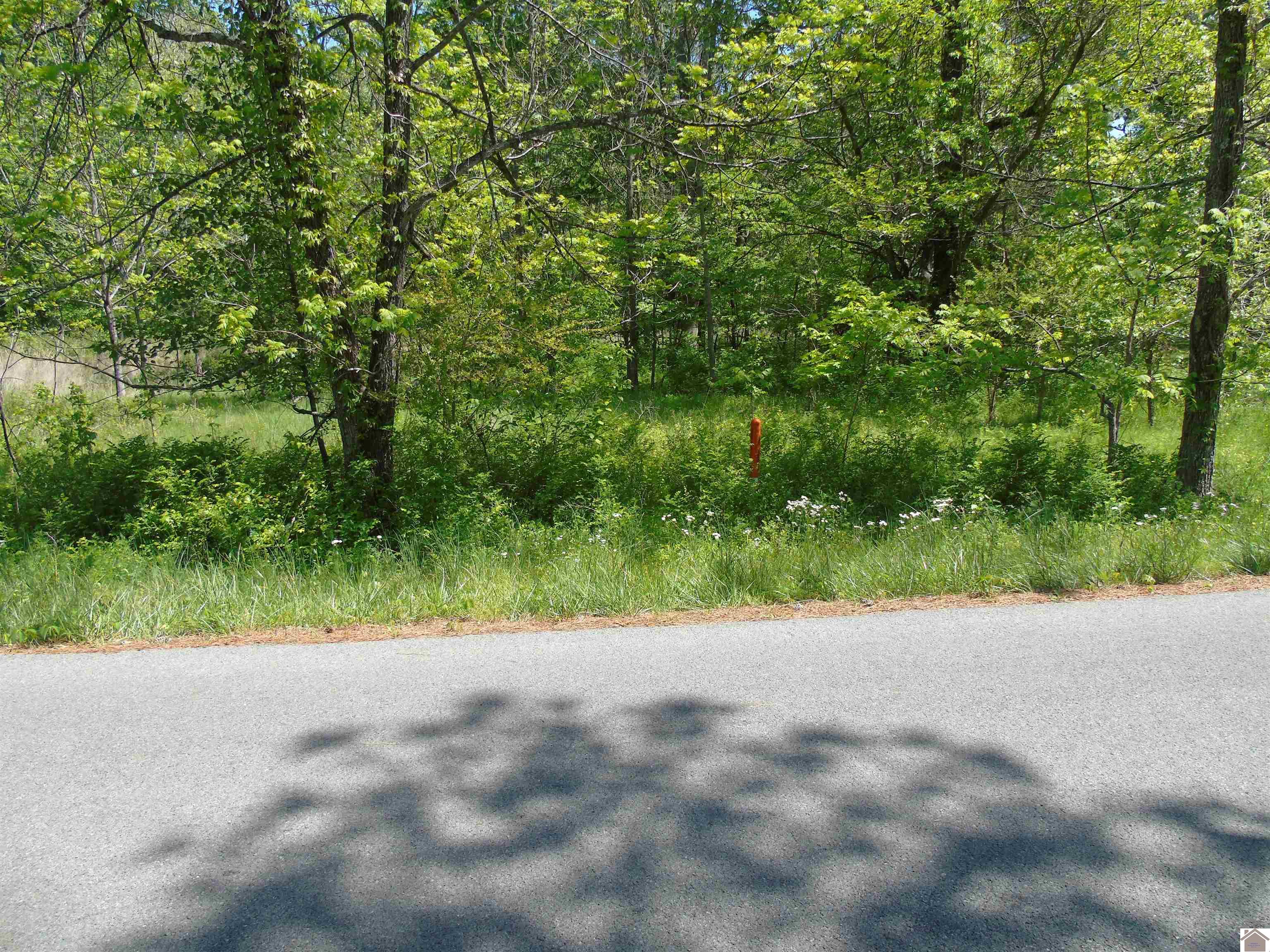 1000 Trigg Furance Road