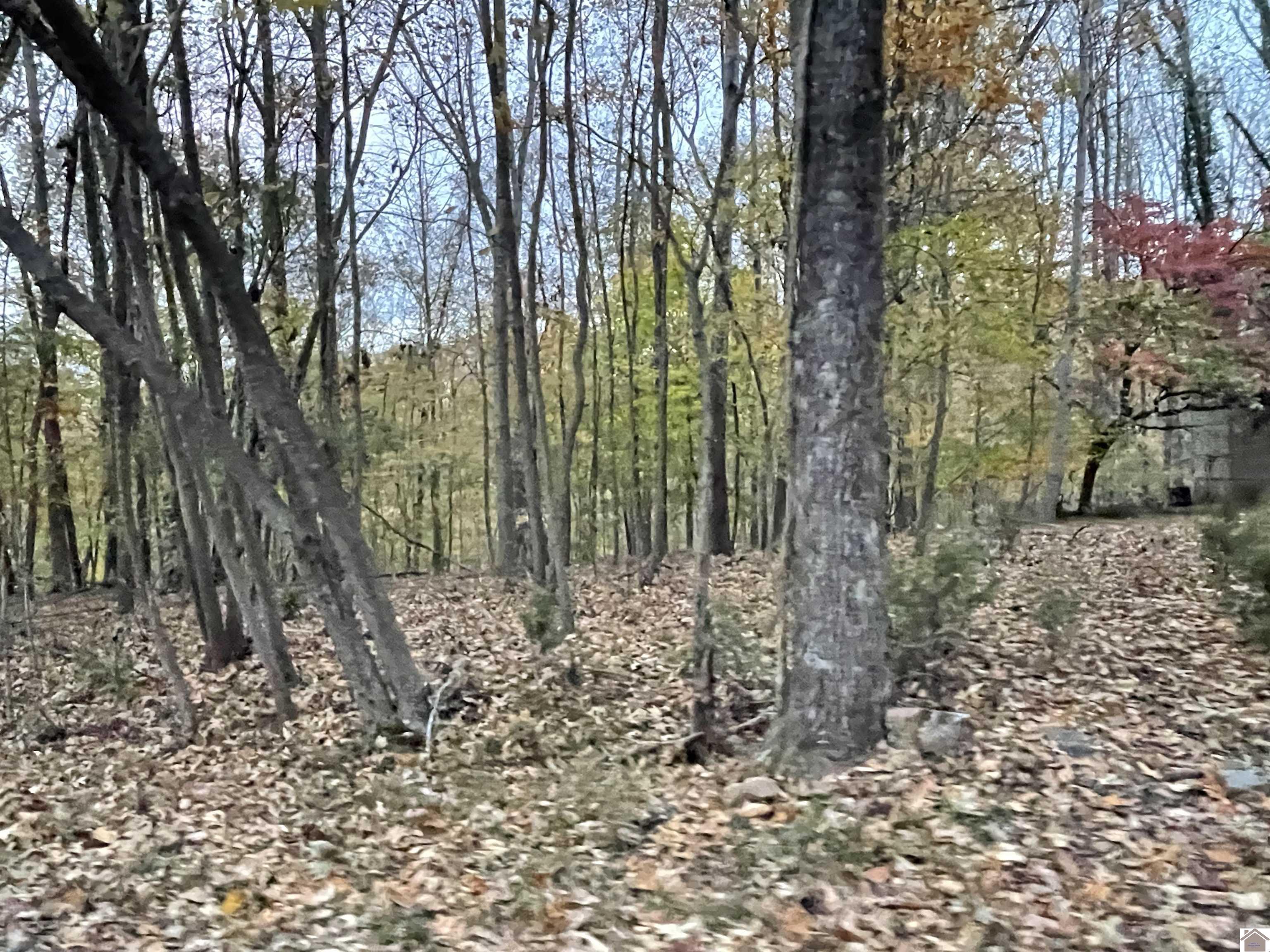 Lot 65 Barkley Shores